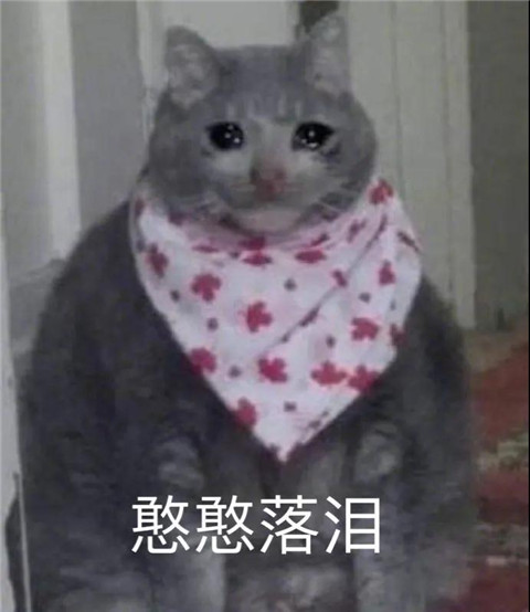 1587440434843006