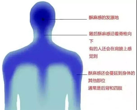 1595041221971130