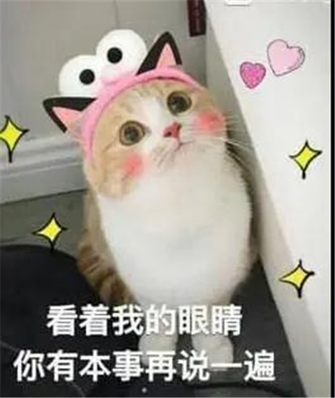 1603764501275482