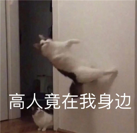 1605082972134183