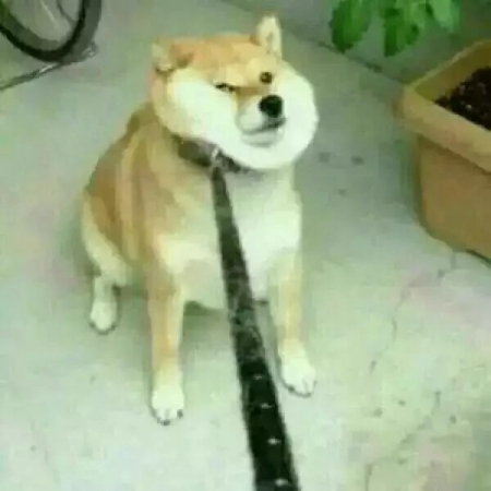 1605754532513873