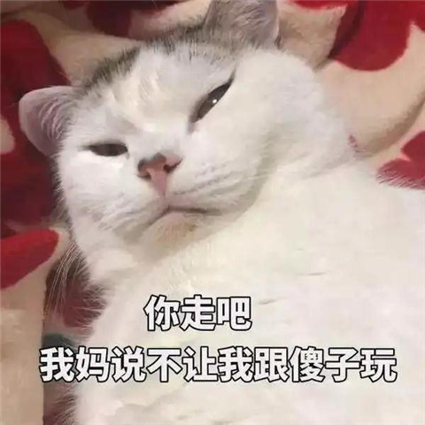 1606189403787876