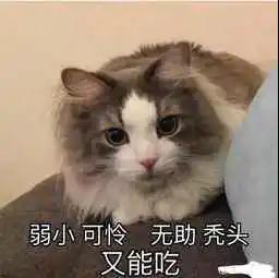1607048853461710