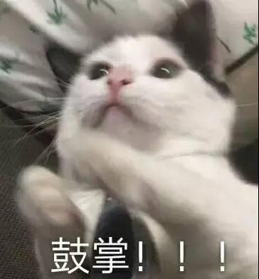 1607048859815742