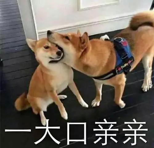 1607048881344387