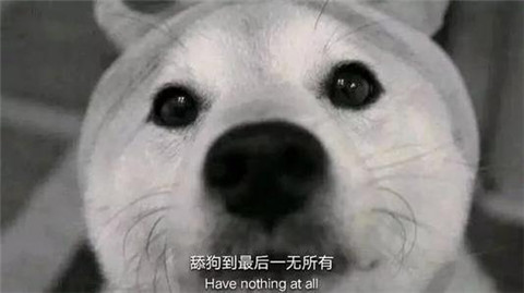 1611041839270833