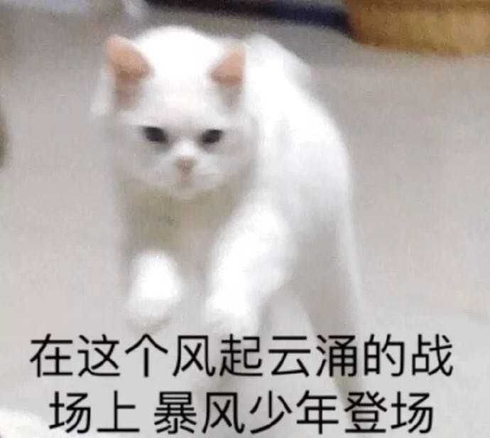 1617775844723629
