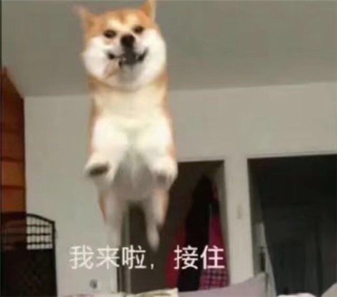 1620803671344220