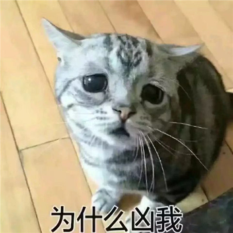 1621932969983490