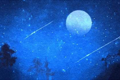 w0g1u4d5svr-1
