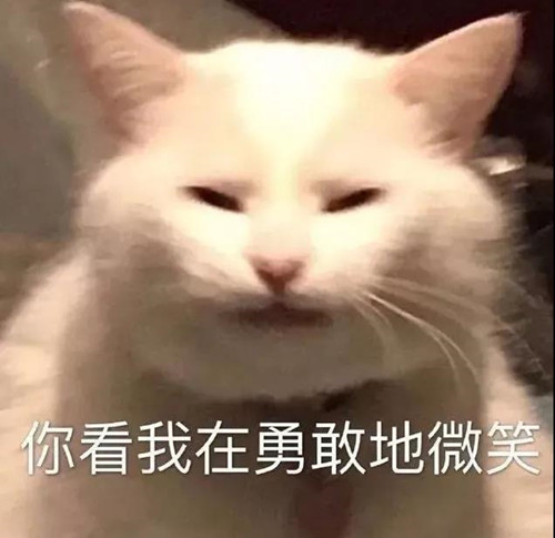 1633491460223667