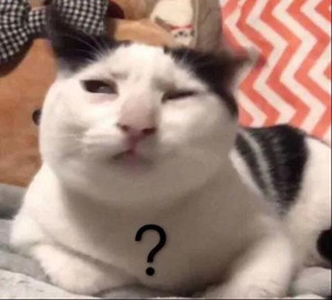 1633851341767397