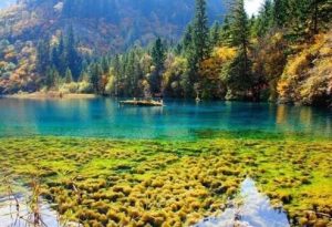 女生说好吧 如何幽默回复她-恋爱至上