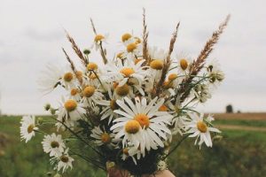 对女生表白送什么花？-恋爱至上