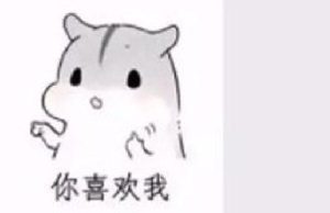 最新表白套路表情包，用过的都说好-恋爱至上