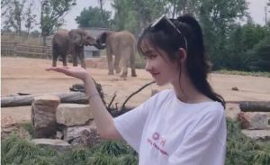 男生怎么试探女生是否喜欢你？瞬间明白女生的心-恋爱至上