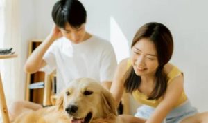 男人是有钱好还是长得帅好？婚恋市场潜规则-恋爱至上