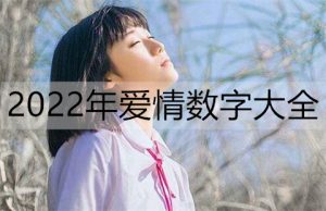 2022年爱情数字大全，帮你解析爱的密码-恋爱至上