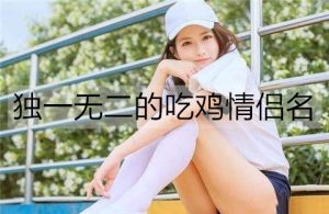 独一无二的吃鸡情侣名都有哪些？-恋爱至上