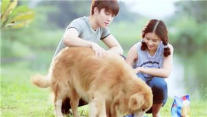 怎么样套路女朋友然后亲她？-恋爱至上