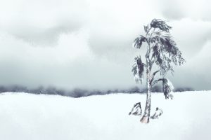 外地人在上海怎么才能找到女朋友-恋爱至上
