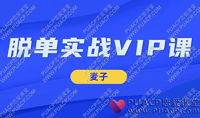 麦子《脱单实战VIP课》-恋爱至上