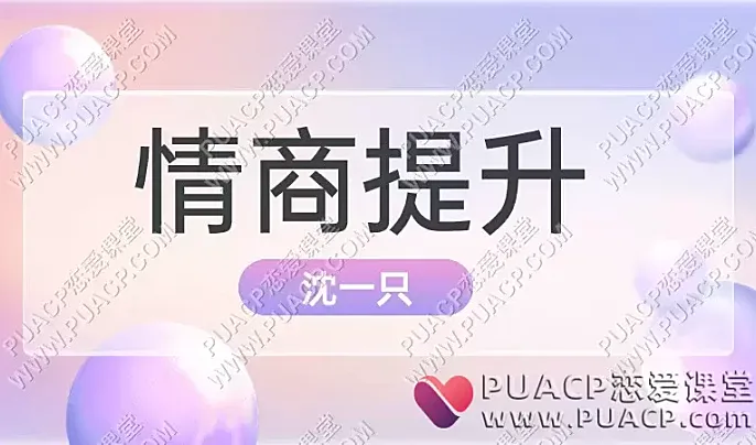 沈一只《情商提升》网盘下载-恋爱至上