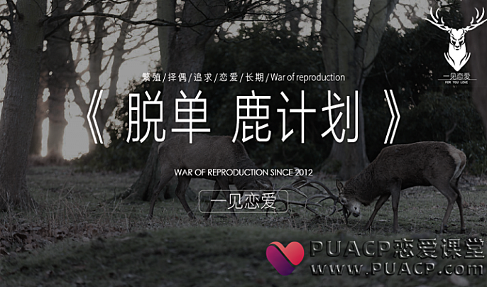 绅士恋爱“恋商提升课程”脱单鹿计划_一见恋爱_苏恨-恋爱至上