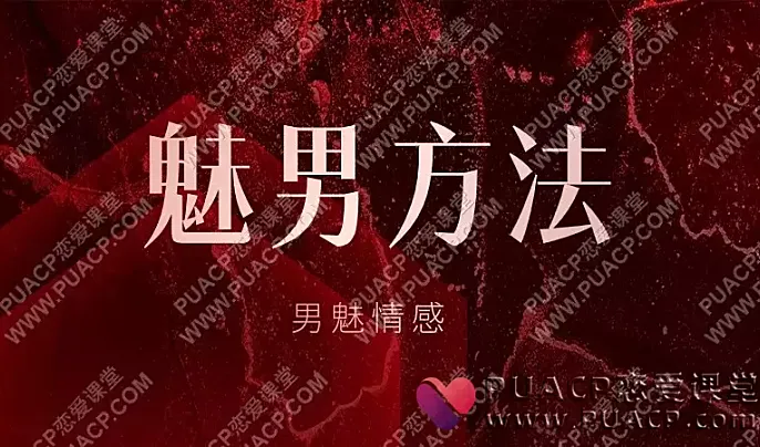 魅男私教《魅男方法》魅男6年恋爱系统总结-恋爱至上