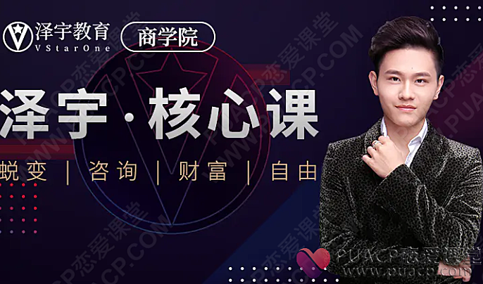 泽宇-导师计划 打造个人商业定位-恋爱至上