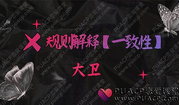 大卫X规则解释【一致性】-恋爱至上