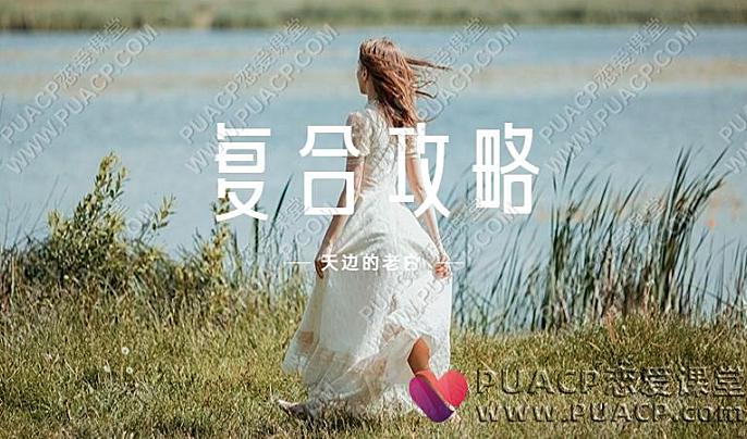天边的老白《复合攻略》百度网盘下载-恋爱至上