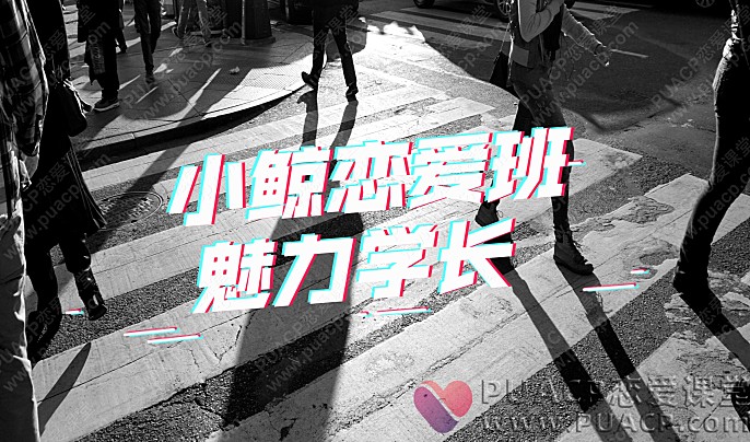 小鲸恋爱班“魅力学长”网盘下载-恋爱至上